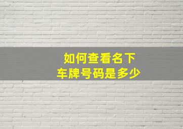 如何查看名下车牌号码是多少