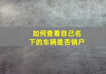 如何查看自己名下的车辆是否销户