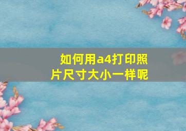 如何用a4打印照片尺寸大小一样呢