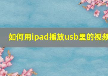 如何用ipad播放usb里的视频