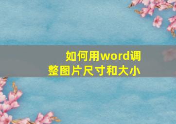 如何用word调整图片尺寸和大小