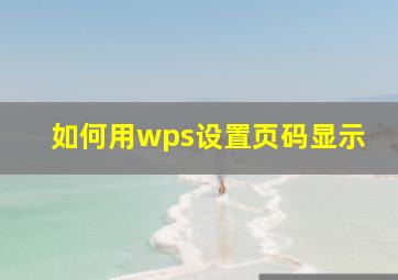 如何用wps设置页码显示