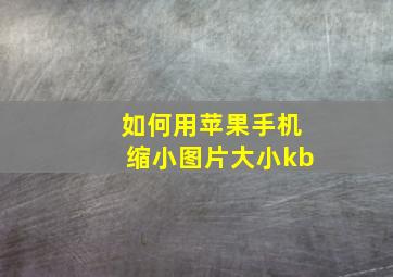 如何用苹果手机缩小图片大小kb