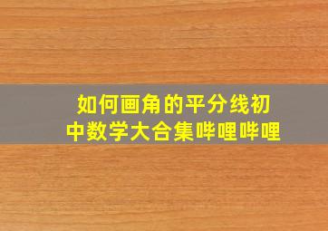 如何画角的平分线初中数学大合集哔哩哔哩