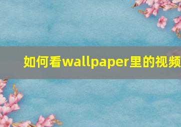 如何看wallpaper里的视频