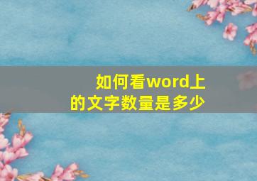 如何看word上的文字数量是多少