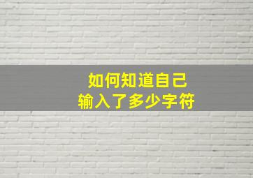 如何知道自己输入了多少字符