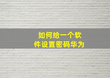 如何给一个软件设置密码华为