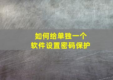 如何给单独一个软件设置密码保护