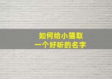 如何给小猫取一个好听的名字