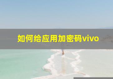 如何给应用加密码vivo