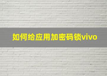 如何给应用加密码锁vivo