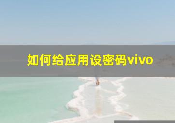 如何给应用设密码vivo