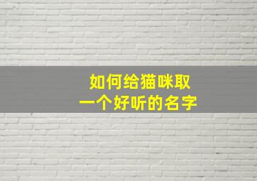 如何给猫咪取一个好听的名字