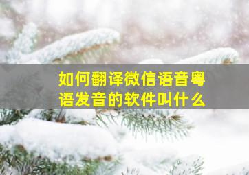 如何翻译微信语音粤语发音的软件叫什么