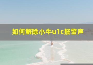 如何解除小牛u1c报警声