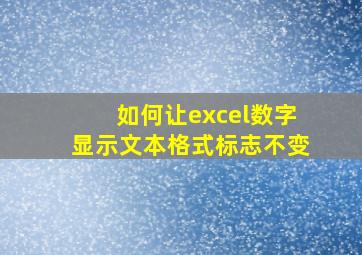 如何让excel数字显示文本格式标志不变