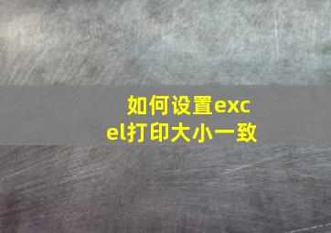 如何设置excel打印大小一致