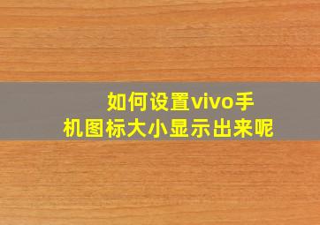 如何设置vivo手机图标大小显示出来呢