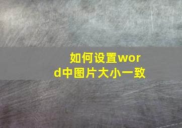 如何设置word中图片大小一致