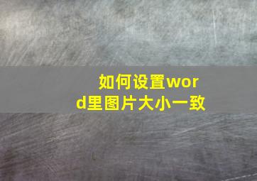 如何设置word里图片大小一致