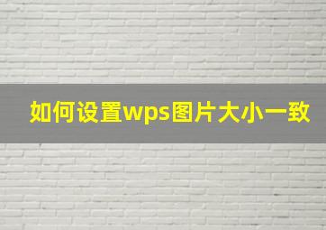 如何设置wps图片大小一致