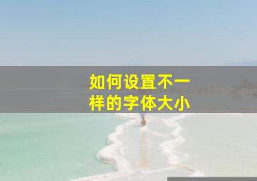 如何设置不一样的字体大小