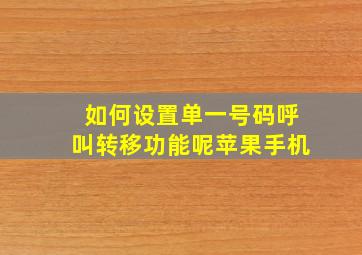 如何设置单一号码呼叫转移功能呢苹果手机