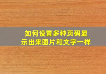 如何设置多种页码显示出来图片和文字一样