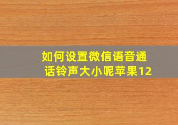 如何设置微信语音通话铃声大小呢苹果12