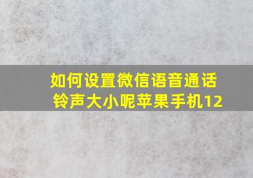 如何设置微信语音通话铃声大小呢苹果手机12