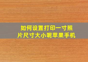 如何设置打印一寸照片尺寸大小呢苹果手机