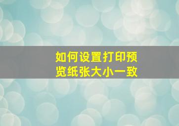 如何设置打印预览纸张大小一致