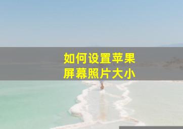 如何设置苹果屏幕照片大小