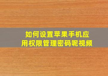 如何设置苹果手机应用权限管理密码呢视频