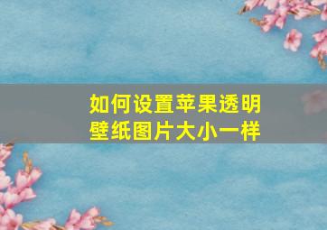 如何设置苹果透明壁纸图片大小一样