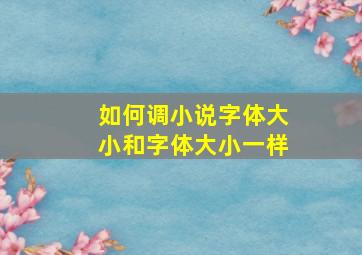 如何调小说字体大小和字体大小一样