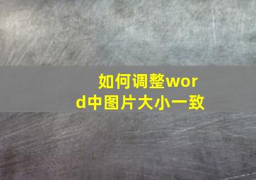 如何调整word中图片大小一致