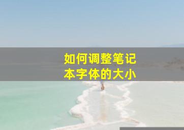 如何调整笔记本字体的大小