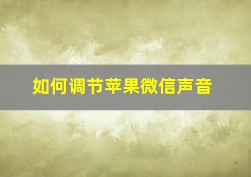 如何调节苹果微信声音