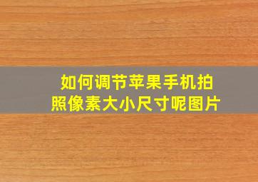 如何调节苹果手机拍照像素大小尺寸呢图片