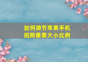 如何调节苹果手机拍照像素大小比例