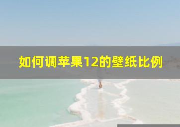 如何调苹果12的壁纸比例