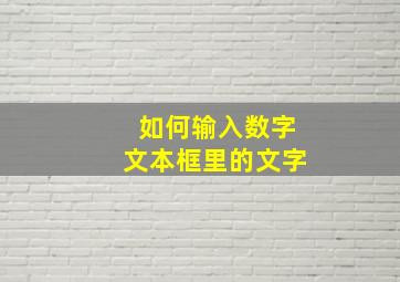 如何输入数字文本框里的文字