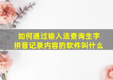 如何通过输入法查询生字拼音记录内容的软件叫什么