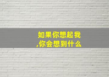 如果你想起我,你会想到什么