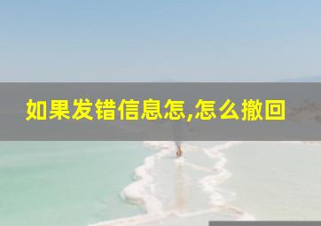 如果发错信息怎,怎么撤回