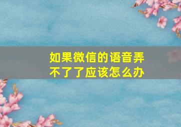 如果微信的语音弄不了了应该怎么办