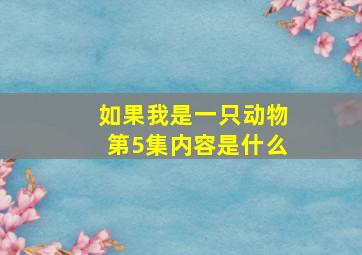 如果我是一只动物第5集内容是什么