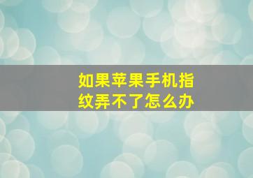 如果苹果手机指纹弄不了怎么办